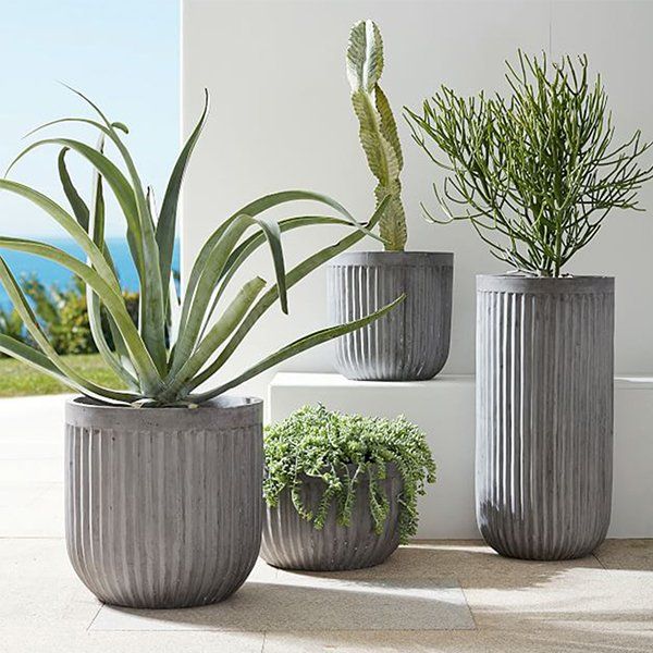 Camelius Planter Pot