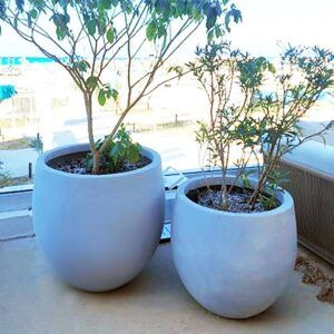 Nomar Planter Pot