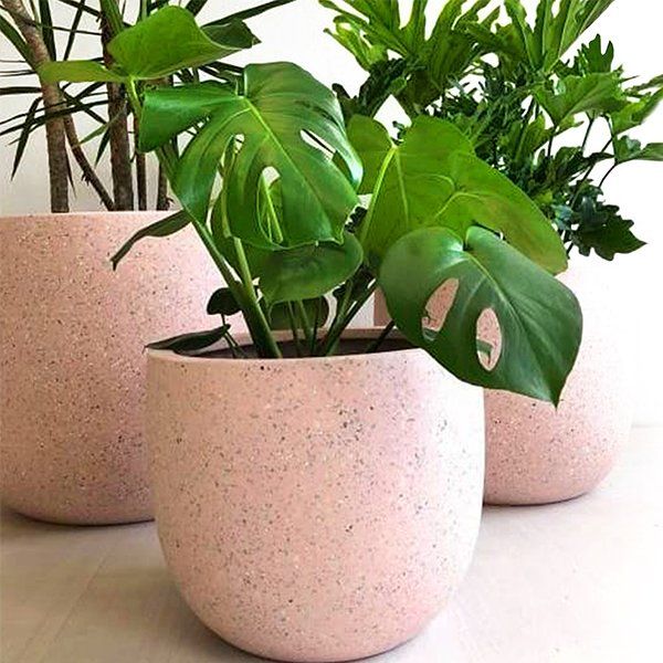 Havon Planter Pot
