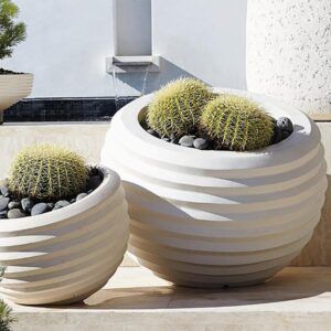 Cactuwa Planter Pot