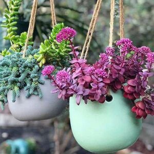 Sarra Planter Pot