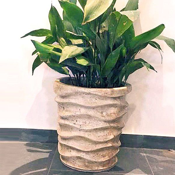 Rowvera Planter Pot