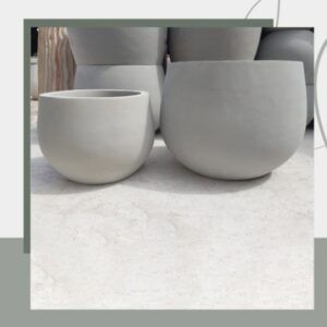 وعاء غراس أحادي