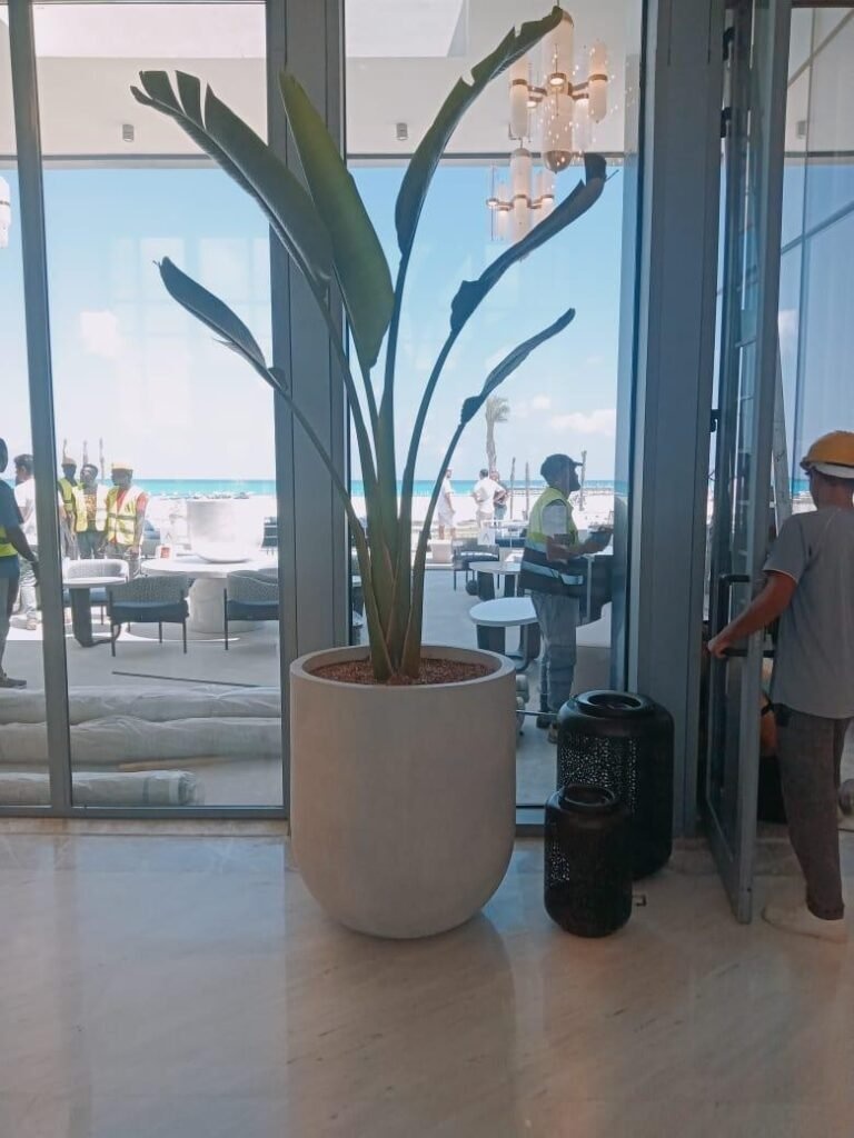 Address Beach Marasi 55