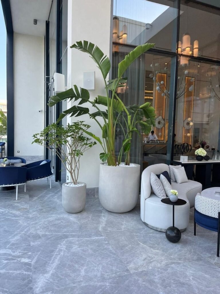 Address Beach Marasi 5598