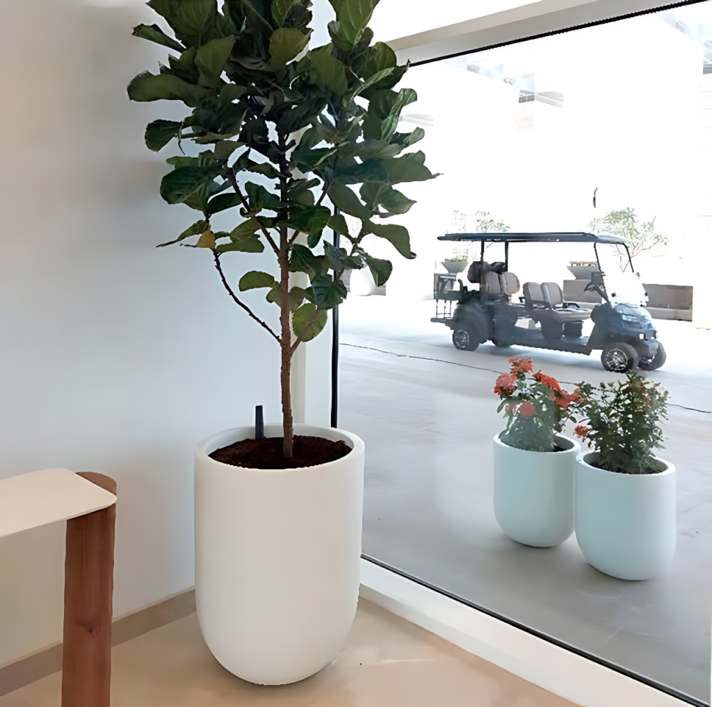 Vida Marina Resort Marassi 19