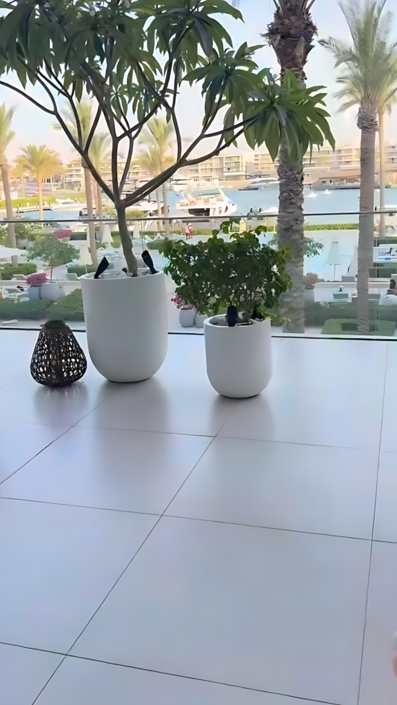 Vida Marina Resort Marassi 40