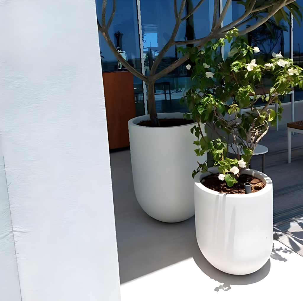 Vida Marina Resort Marassi 6